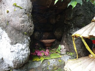 Calming and Flower Offerings for Ancestors