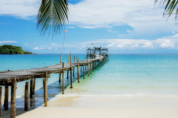 Palm leaves and wooden bridge on beach.