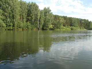 River. Course. Forest on the shore.
