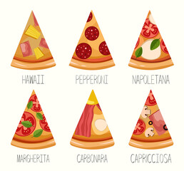 Set of slices of juicy hot pizza
