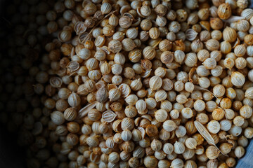 Close up of coriander seeds spice