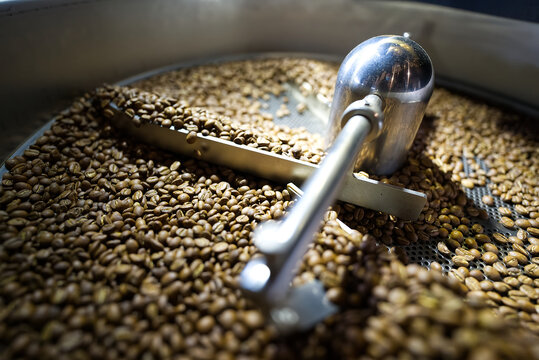 Close up of roasted coffee bean using Probat machine