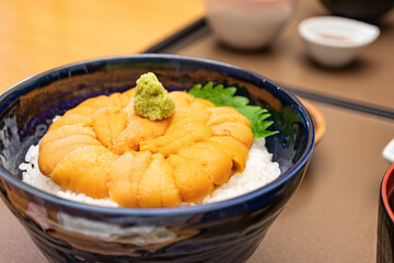 新鮮な雲丹がたっぷり載ったうに丼