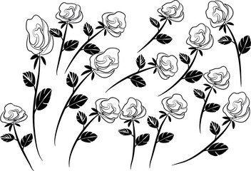 vector drawing white rose background design