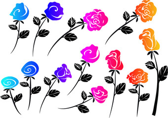 vector drawing colour rose background design set
