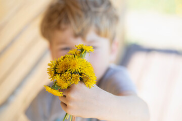 Little boy, son gives mom bunch of yellow dandelions