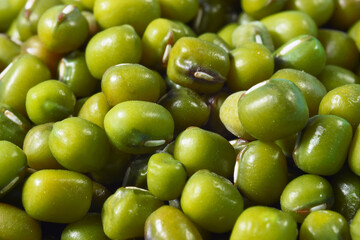 Close-up of mung beans with white isolated background