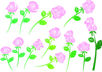 vector drawing purple rose background design