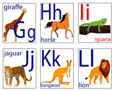 Flashcards for children with letters and images of animals to learn the English alphabet. Development of reading skills. Vector isolated on a white background.