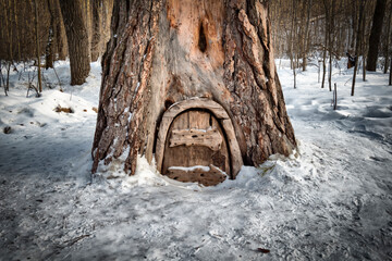The wooden door of the house of the gnomes in the pine.