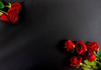 Red roses on a black background, postcard, banner, Flat Lai on the funeral
