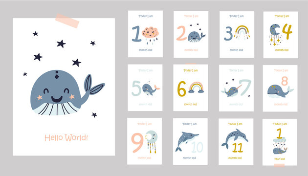 Monthly baby cards with cute whales.