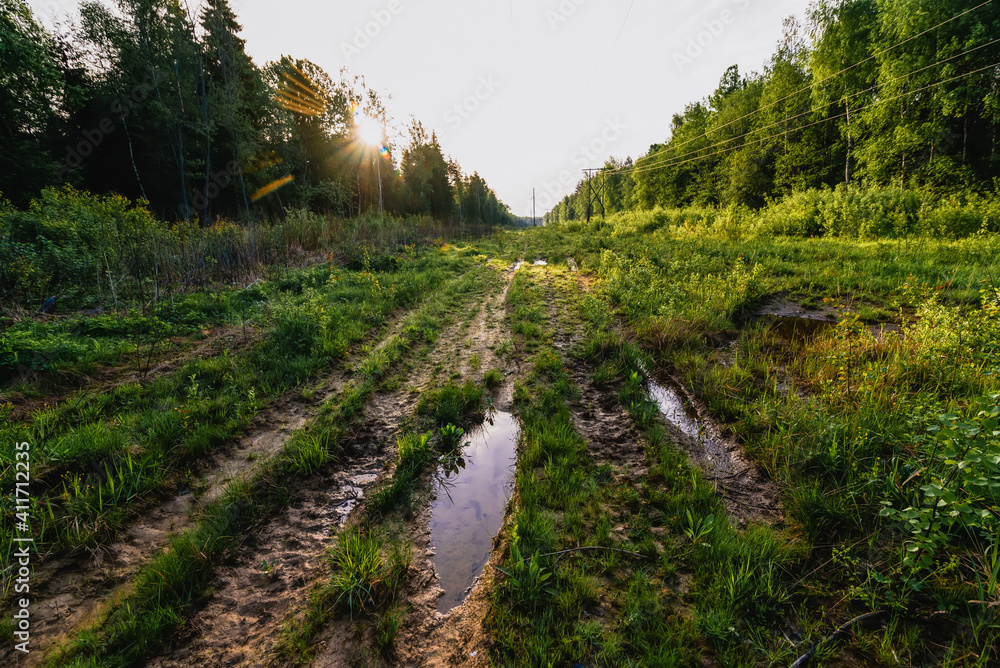 Canvas Prints high voltage power transmission line in forest on summer