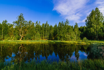 natural summer landscape with river in forest and green meadow