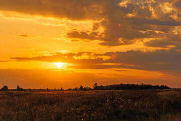 Fototapeta na wymiar landscape with Golden sunset in autumn in the field