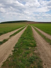 Country road in a green field