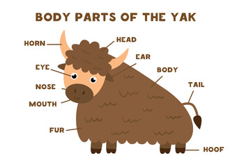Body parts of the yak. Scheme for children.