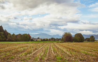 Rural land in Slovenia overlooking the Alps