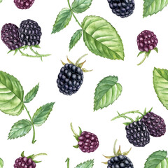 watercolor seamless pattern with blackberry