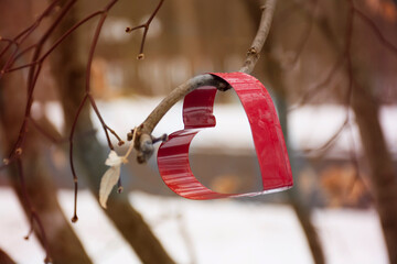  heart shaped red cookie cutter on tree with winter snow background. Selective focus.