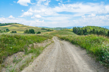 old road on top of mountains of glades and forests.