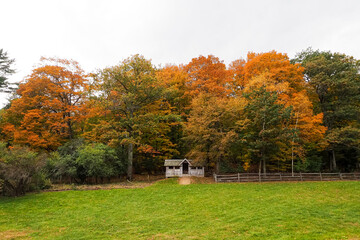 landscape front view of fall colors of trees above and around cottage house in Vermont. Fence with...