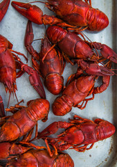 Crayfish-boiled river crayfish and beer