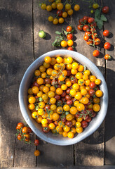 Tomato background. Ripe juicy tomatoes for salads and restaurants on the counter in the market. Top view photograph of cherry tomatoes with copy space