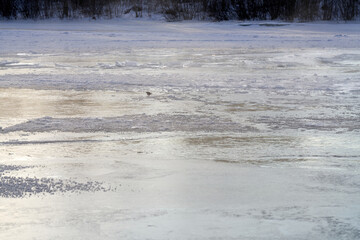 The river is about to freeze. It is very cold and the river is much warmer than the air, therefore the smoke or the damp from the river. Shot at Gol, Norway in February. Minus 20 degreases Celsius. 