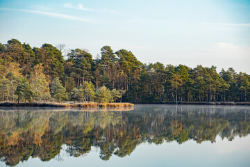 Reflection of a forest on lake surface