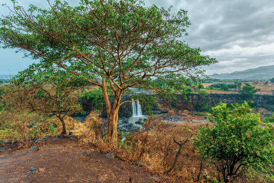 Blue Nile waterfalls in dry season. Fall on the Blue Nile river. Nature and travel destination. Ethiopia wilderness, Amhara Region, near Bahir Dar and Lake Tana