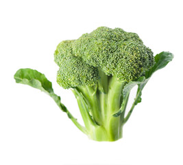 Fresh broccoli cabbage isolated on white background