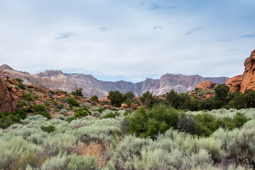 An overlooking view of nature in Snow Canyon State Park, Utah