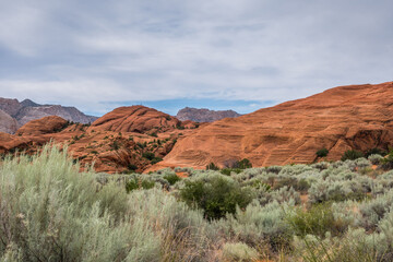 An overlooking view of nature in Snow Canyon State Park, Utah