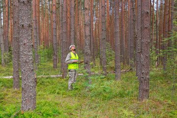 The forester works in the forest with a measuring tool. Real people work in forestry.