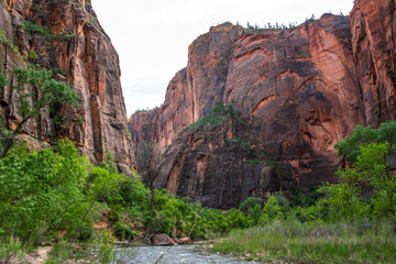 An overlooking view of nature in Zion National Park, Utah