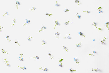 beautiful blue flowers on a white background. simple flat composition