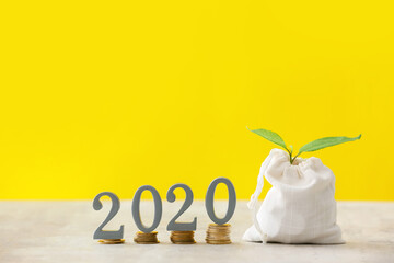 Bag with savings, young plant and figure 2020 on table against color background. Concept of pension