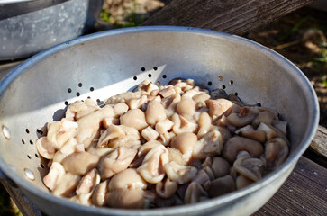 Fresh cooked mushrooms on a wooden background