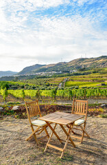 Table and chairs in a vineyard with a road in the background
