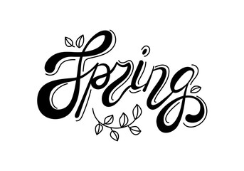 Calligraphic word Spring with branches and leaves. Black vector calligraphic inscription on white background.