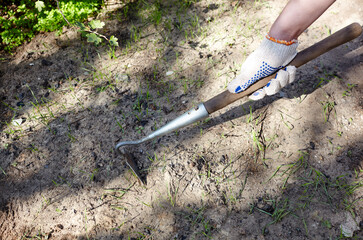 Women's hands with hoe removes weeds near vegetation