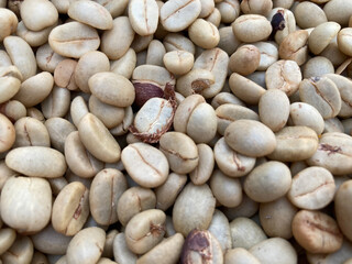 the closed up shot of green coffee beans in the dry process in daylight