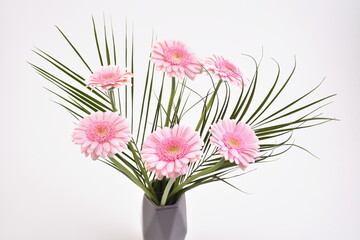Gerbera, daisy pink flowers. Bouquet  of gerberas on white background. Valentines day gift.  (Gerbera jamesonii).  