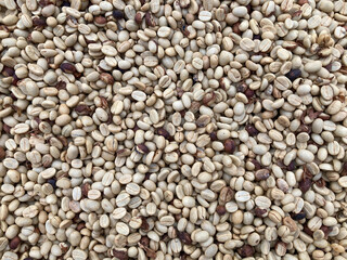 loads of green coffee beans in the dry process from the top of view angle shot in full-frame