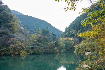 紅葉