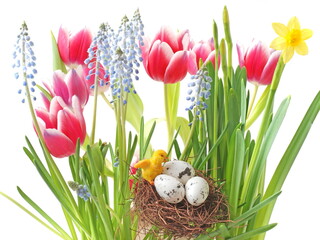 Easter. Spring flowers and easter decoration. 