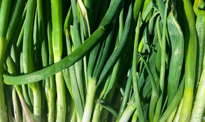 Fresh vegetables closeup. Background with scallions or green onions. Healthy eating