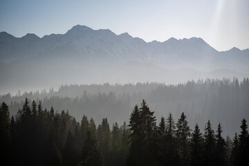 The peaks of High Tatras, Poland in the sunlight. The fog makes natural multi layer effect. Coniferous forest growing on the lower parts of the hills. Selective focus on the trees, blurred background.