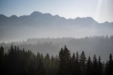 Papier Peint photo autocollant Forêt dans le brouillard The peaks of High Tatras, Poland in the sunlight. The fog makes natural multi layer effect. Coniferous forest growing on the lower parts of the hills. Selective focus on the trees, blurred background.